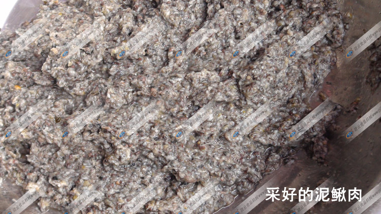 ��ȡ�����q��-�~���ȡ�C-�M�ƙCе