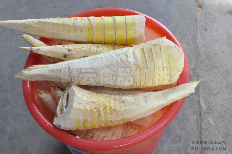 購(gòu)買的春筍