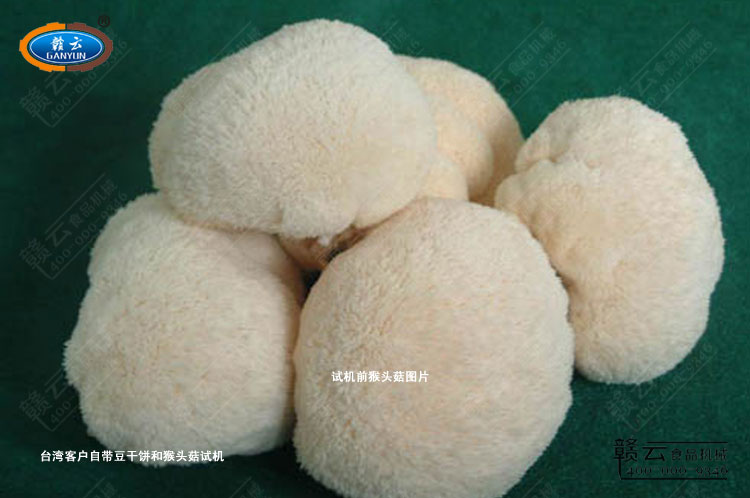 �_(t��i)���͑�(h��)�Ԏ��ĺ��^���D