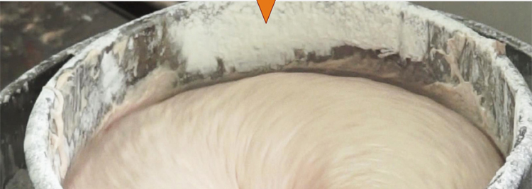 22��ȫ���P�����C(j��)