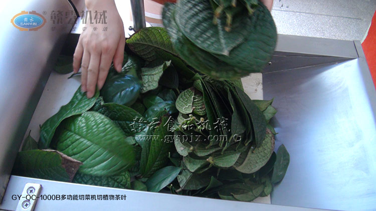 �͑��Ԏ���ֲ���