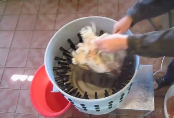 ��̖����Óë�C-���A��