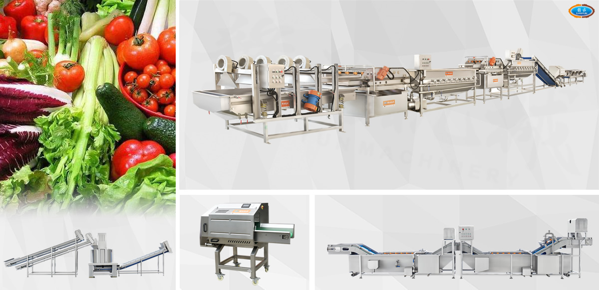 凈菜加工流水線設(shè)備展示 凈菜加工流水線設(shè)備展示