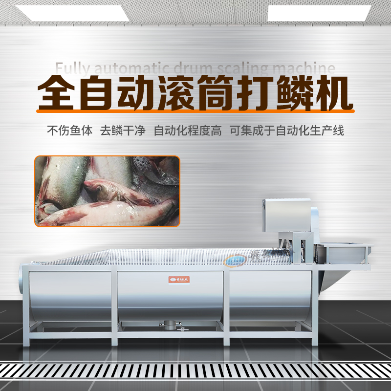 全自動滾筒打鱗機(jī) 全自動滾筒打鱗機(jī)