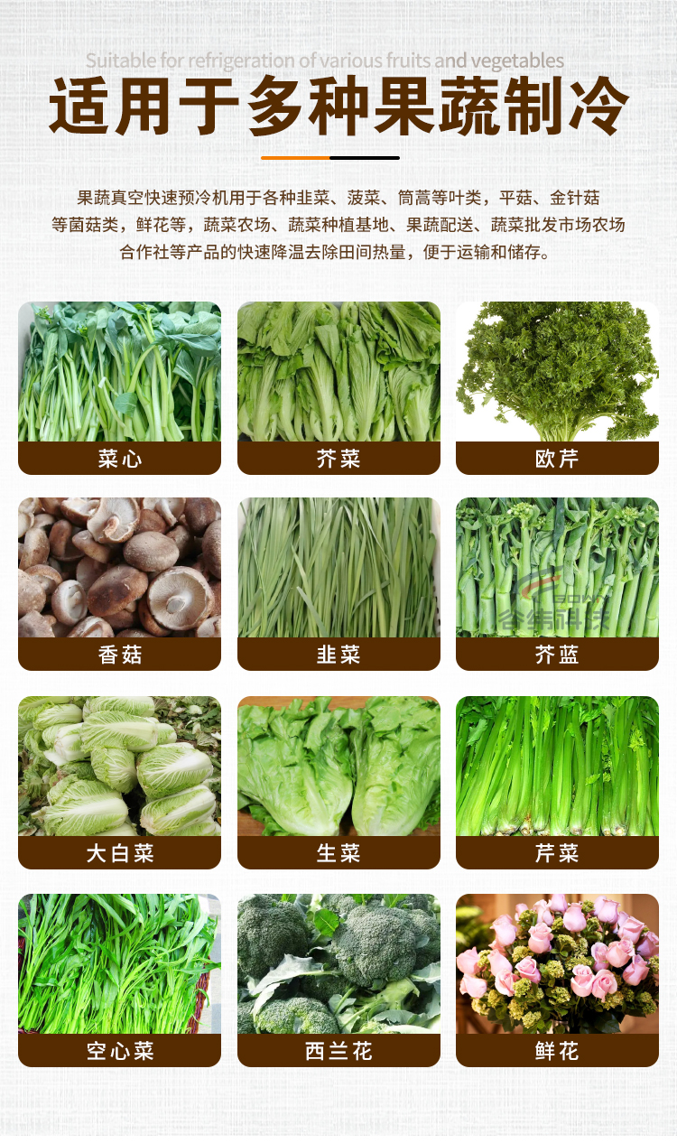 �m���ڶ�N��������