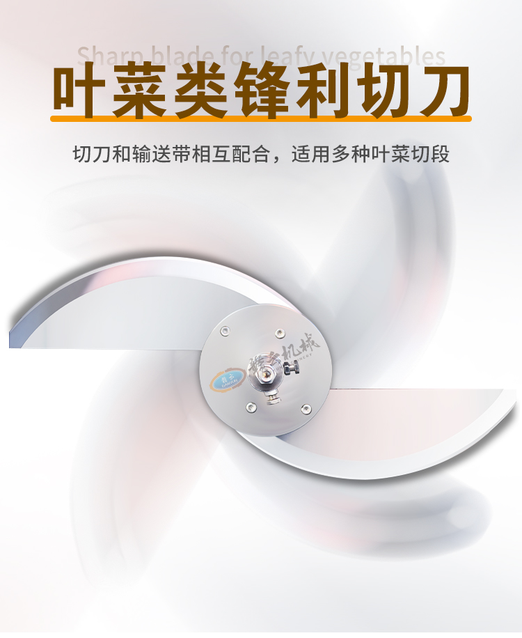 �~����h���е�